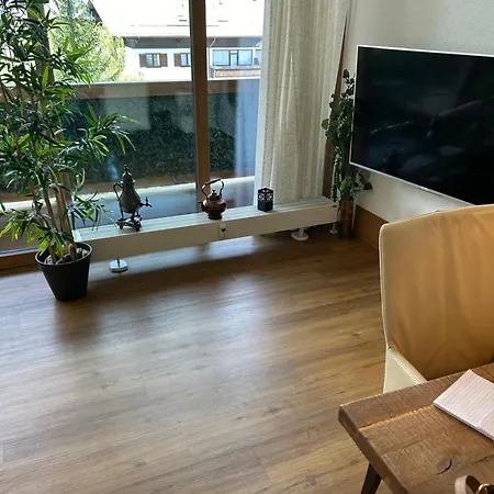 Apartment Penthause Overview By Krone Kaprun